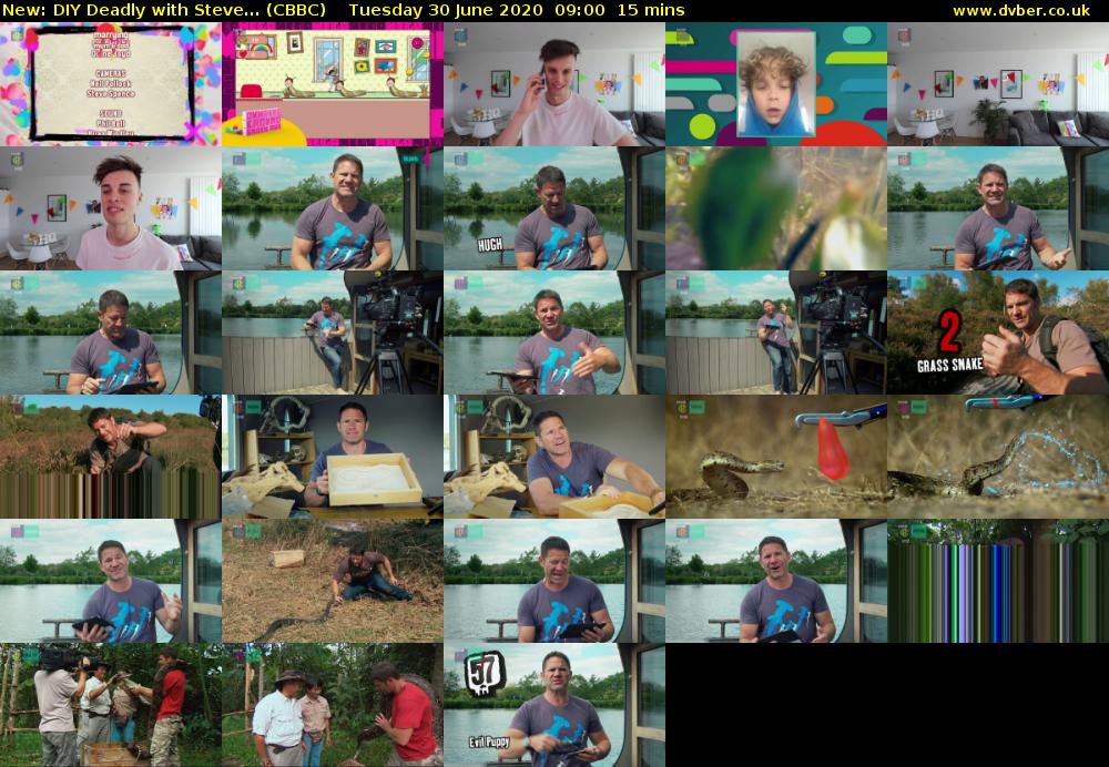 DIY Deadly with Steve... (CBBC) Tuesday 30 June 2020 09:00 - 09:15