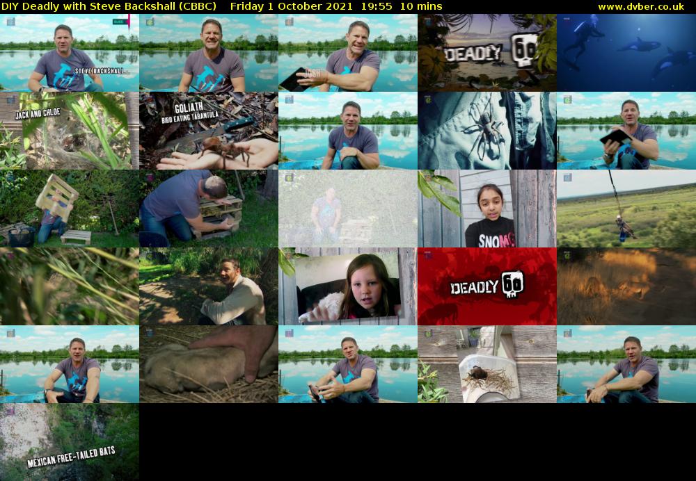 DIY Deadly with Steve Backshall (CBBC) Friday 1 October 2021 19:55 - 20:05