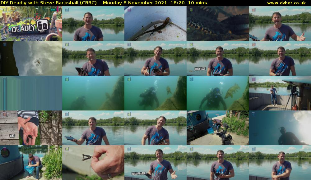 DIY Deadly with Steve Backshall (CBBC) Monday 8 November 2021 18:20 - 18:30