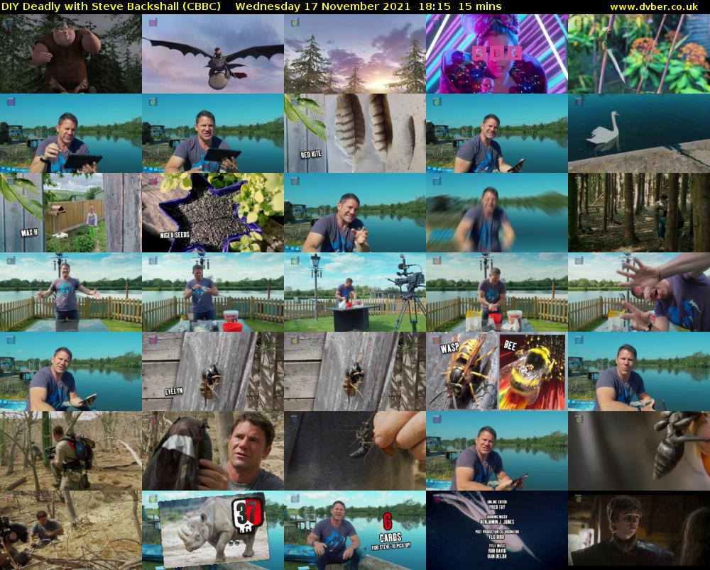 DIY Deadly with Steve Backshall (CBBC) Wednesday 17 November 2021 18:15 - 18:30