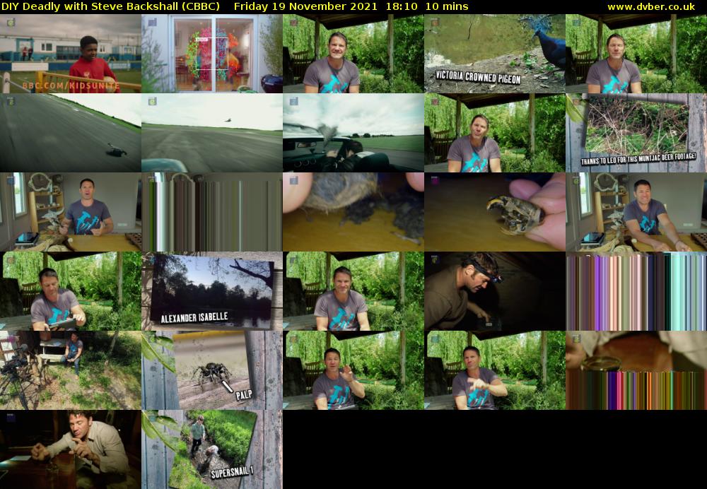 DIY Deadly with Steve Backshall (CBBC) Friday 19 November 2021 18:10 - 18:20