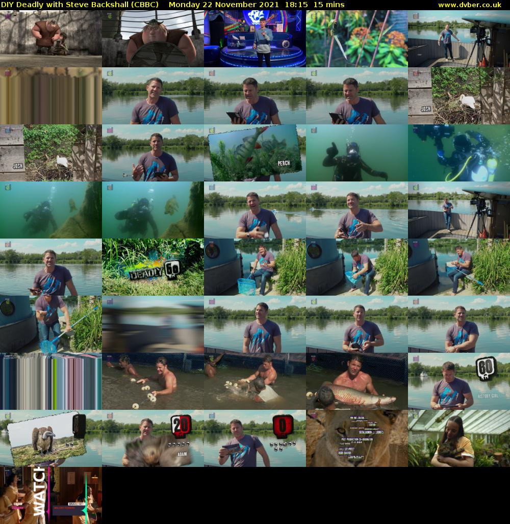 DIY Deadly with Steve Backshall (CBBC) Monday 22 November 2021 18:15 - 18:30