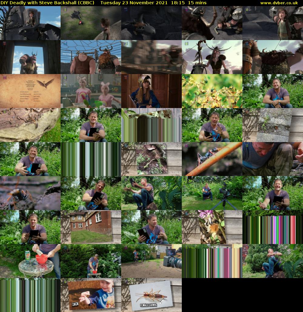 DIY Deadly with Steve Backshall (CBBC) Tuesday 23 November 2021 18:15 - 18:30