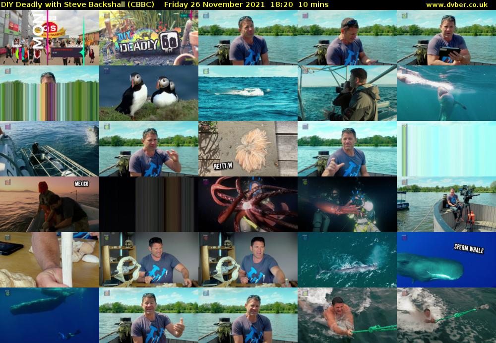 DIY Deadly with Steve Backshall (CBBC) Friday 26 November 2021 18:20 - 18:30