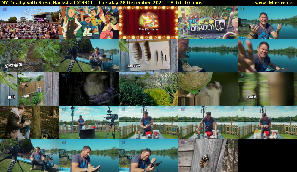 DIY Deadly with Steve Backshall (CBBC) Tuesday 28 December 2021 18:10 - 18:20
