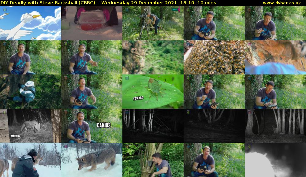 DIY Deadly with Steve Backshall (CBBC) Wednesday 29 December 2021 18:10 - 18:20