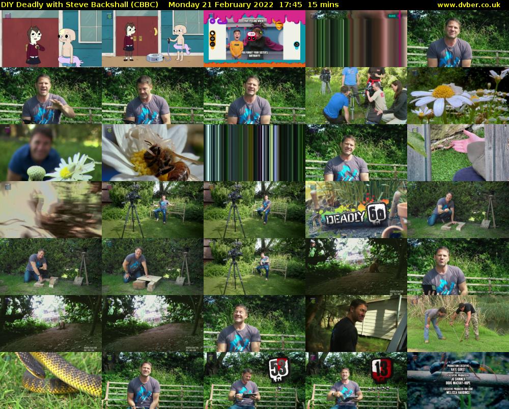 DIY Deadly with Steve Backshall (CBBC) Monday 21 February 2022 17:45 - 18:00