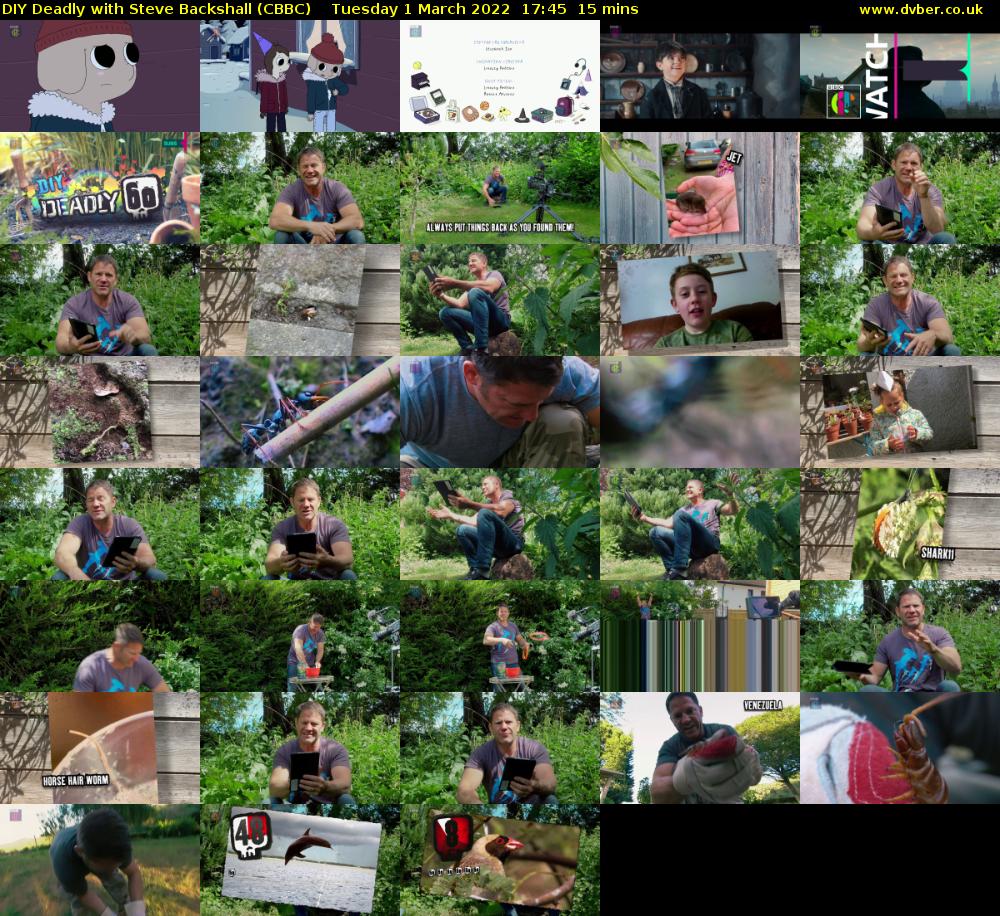 DIY Deadly with Steve Backshall (CBBC) Tuesday 1 March 2022 17:45 - 18:00