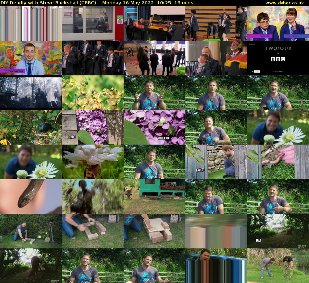DIY Deadly with Steve Backshall (CBBC) Monday 16 May 2022 10:25 - 10:40
