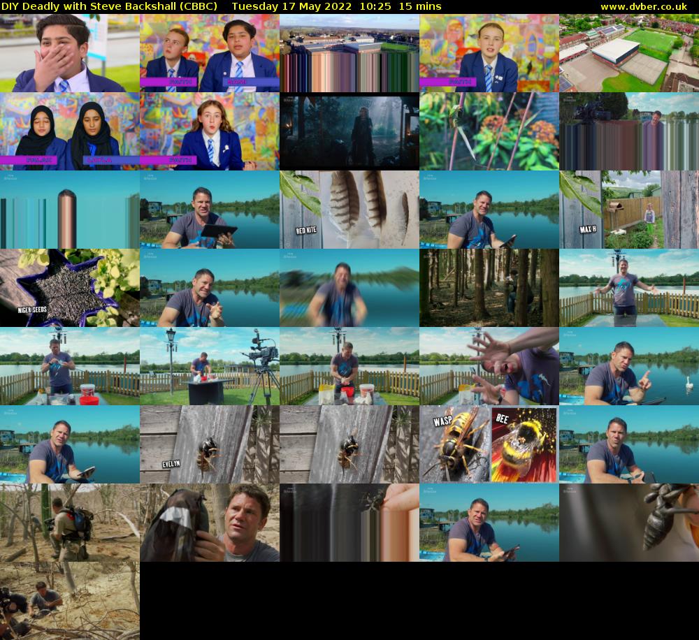 DIY Deadly with Steve Backshall (CBBC) Tuesday 17 May 2022 10:25 - 10:40