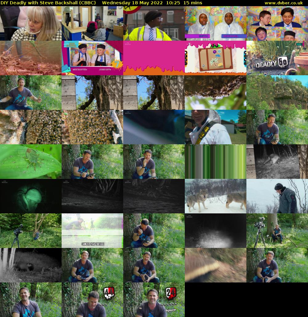 DIY Deadly with Steve Backshall (CBBC) Wednesday 18 May 2022 10:25 - 10:40