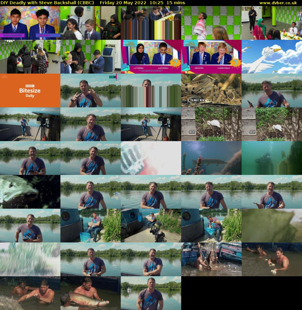 DIY Deadly with Steve Backshall (CBBC) Friday 20 May 2022 10:25 - 10:40