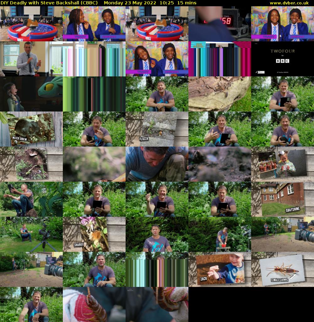 DIY Deadly with Steve Backshall (CBBC) Monday 23 May 2022 10:25 - 10:40