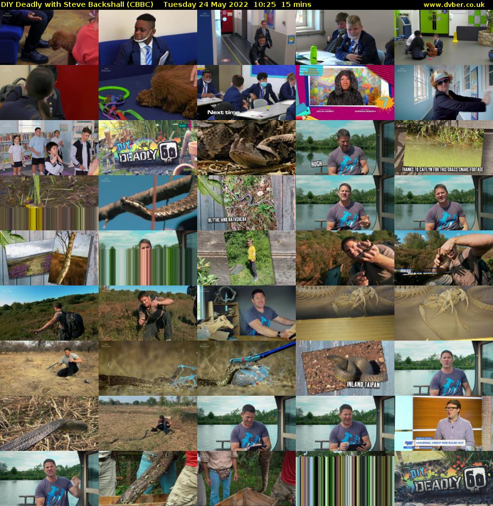 DIY Deadly with Steve Backshall (CBBC) Tuesday 24 May 2022 10:25 - 10:40