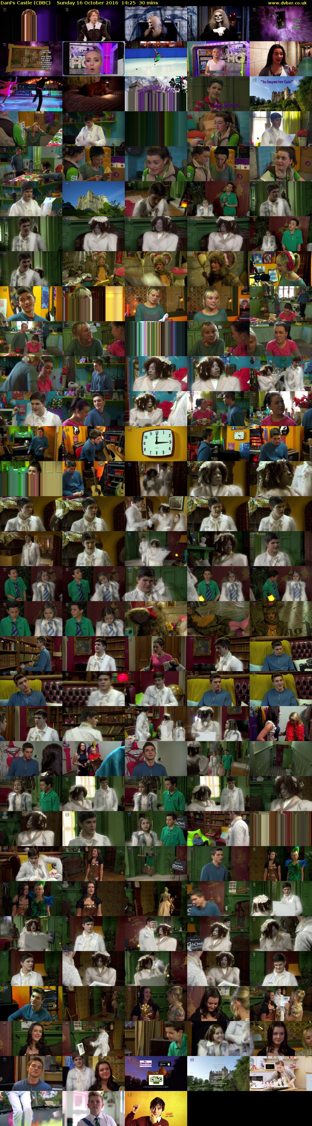 Dani's Castle (CBBC) Sunday 16 October 2016 14:25 - 14:55