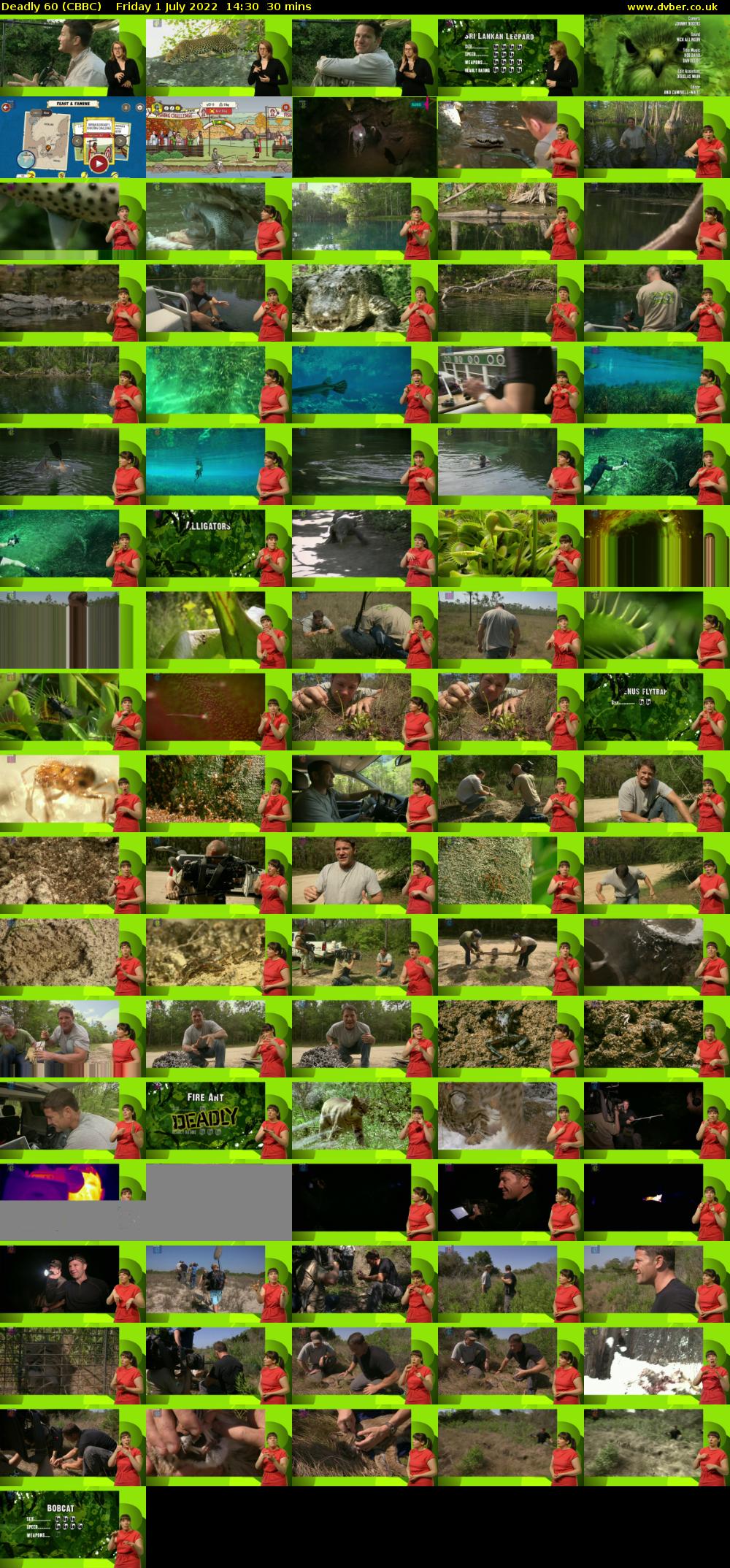 Deadly 60 (CBBC) Friday 1 July 2022 14:30 - 15:00