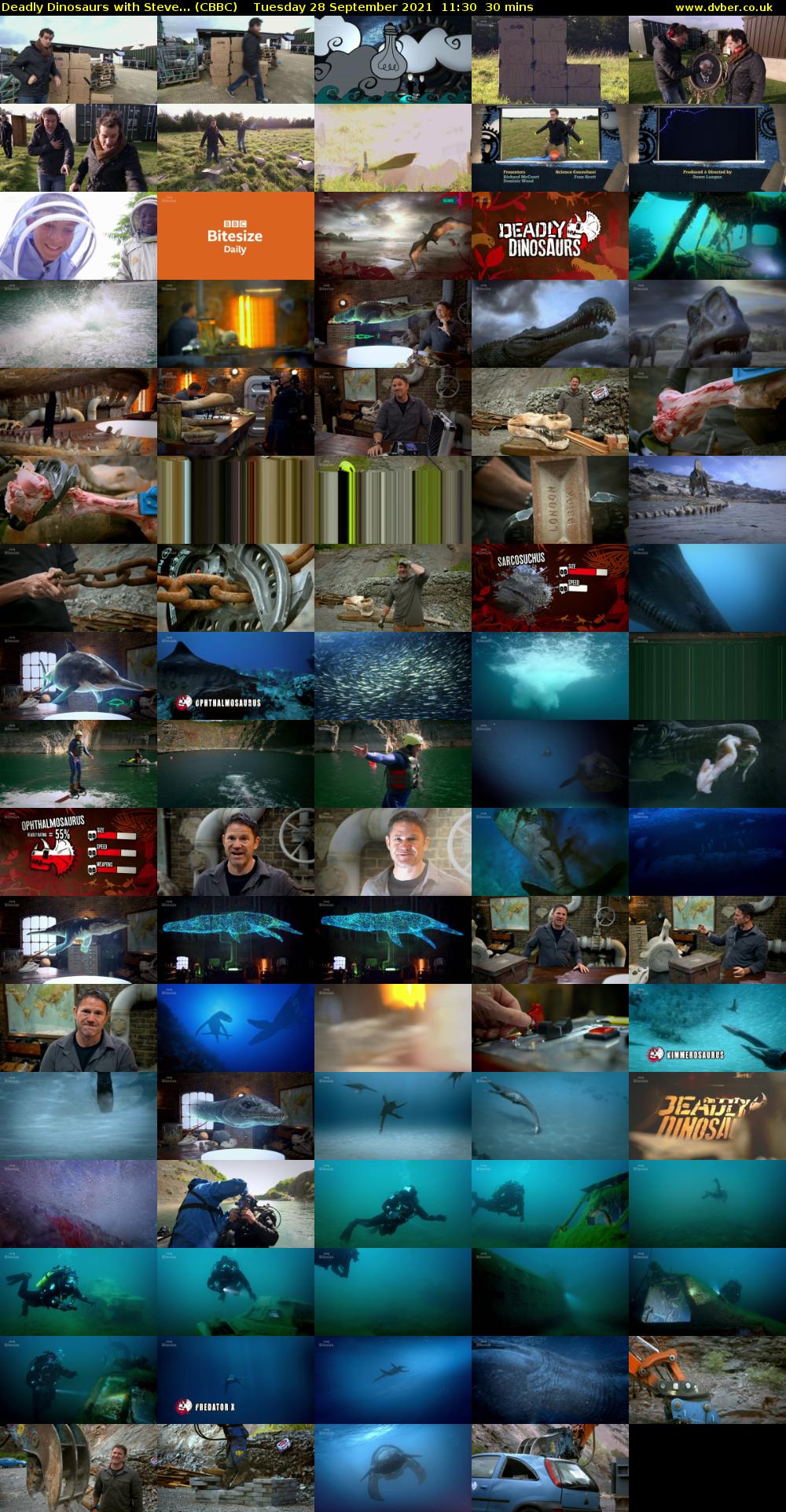 Deadly Dinosaurs with Steve... (CBBC) Tuesday 28 September 2021 11:30 - 12:00