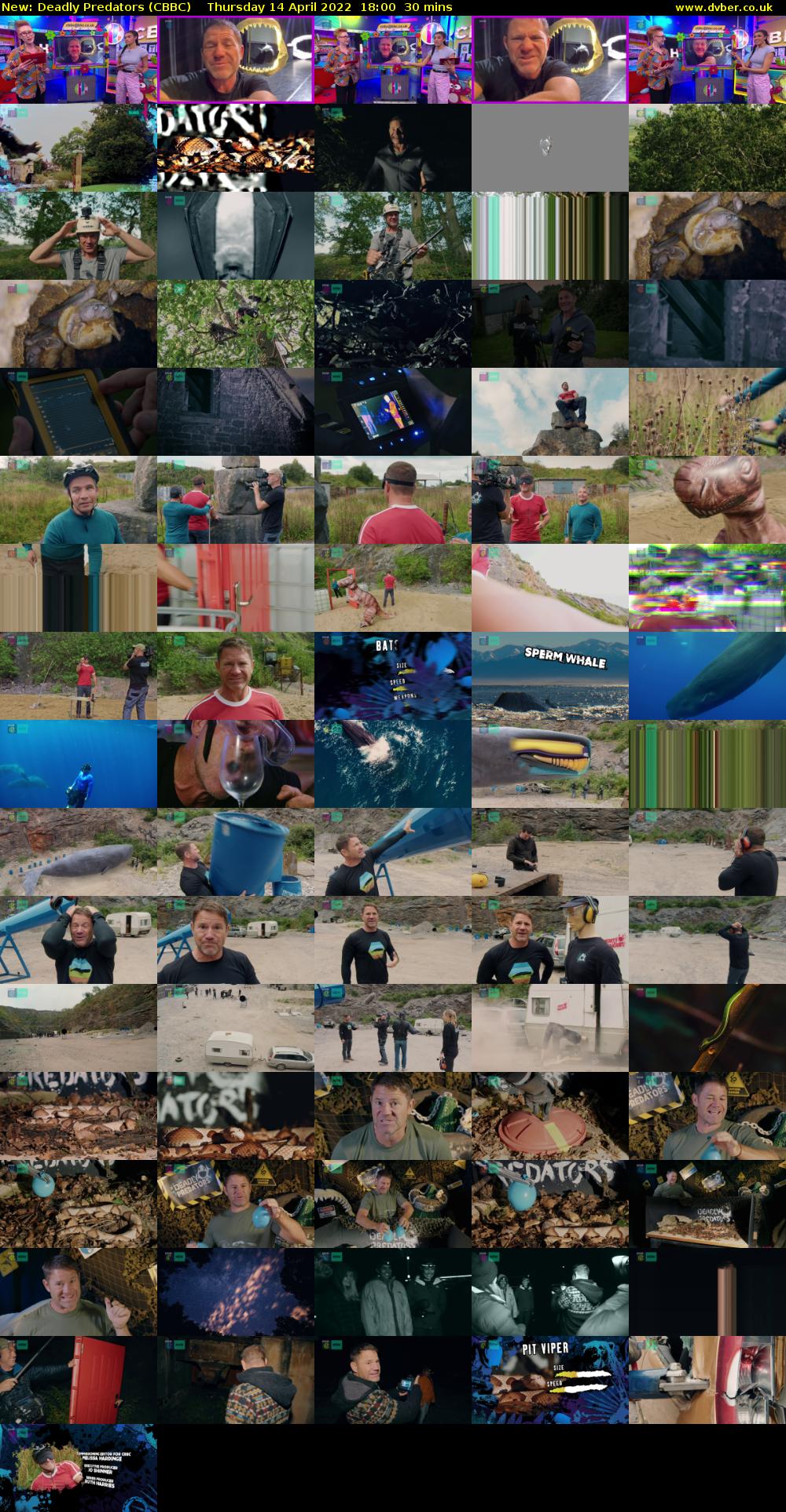Deadly Predators (CBBC) Thursday 14 April 2022 18:00 - 18:30
