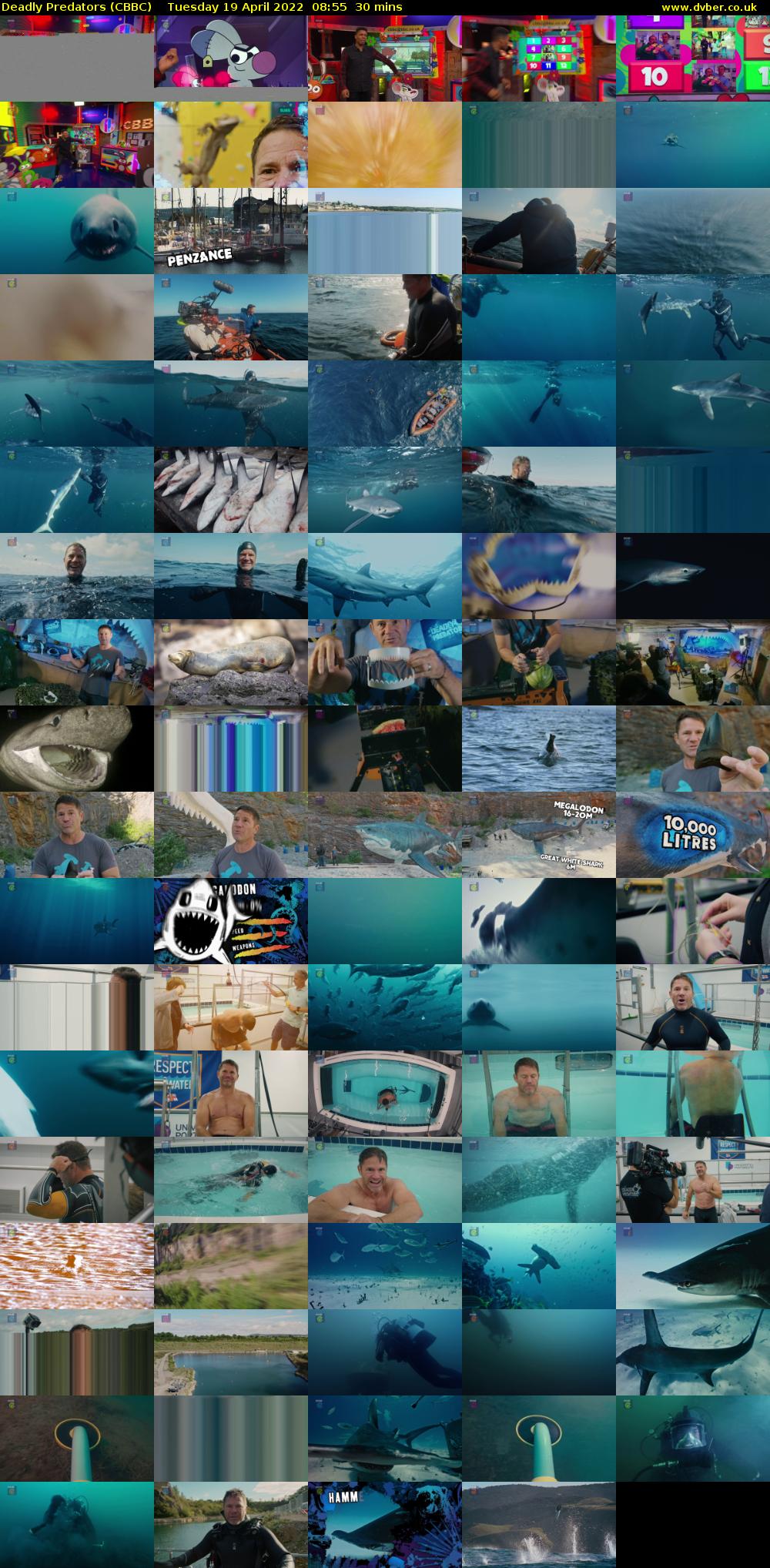 Deadly Predators (CBBC) Tuesday 19 April 2022 08:55 - 09:25