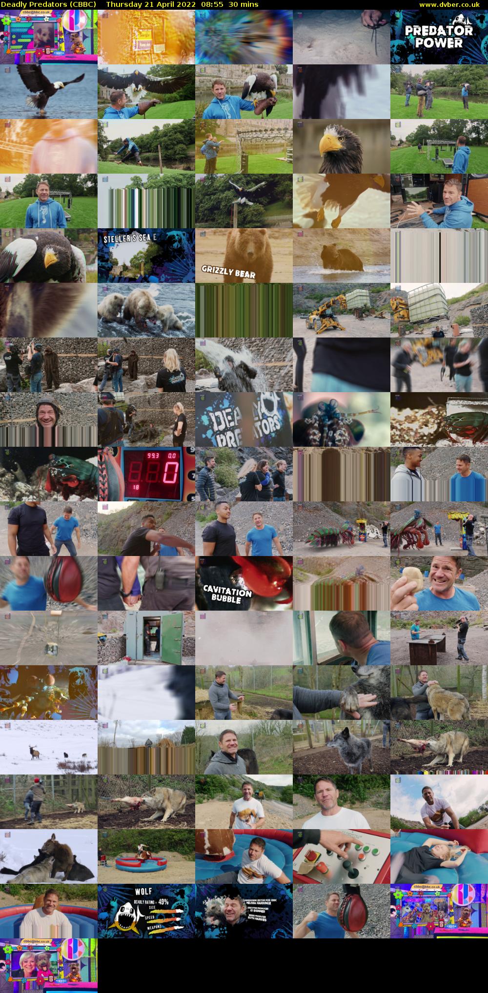 Deadly Predators (CBBC) Thursday 21 April 2022 08:55 - 09:25