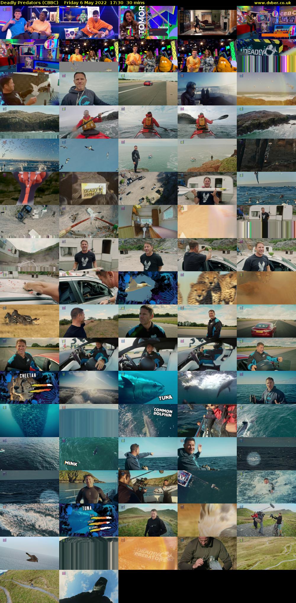 Deadly Predators (CBBC) Friday 6 May 2022 17:30 - 18:00