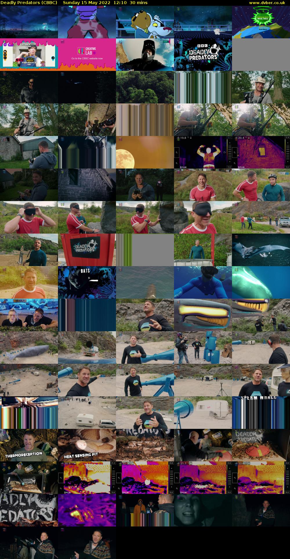 Deadly Predators (CBBC) Sunday 15 May 2022 12:10 - 12:40