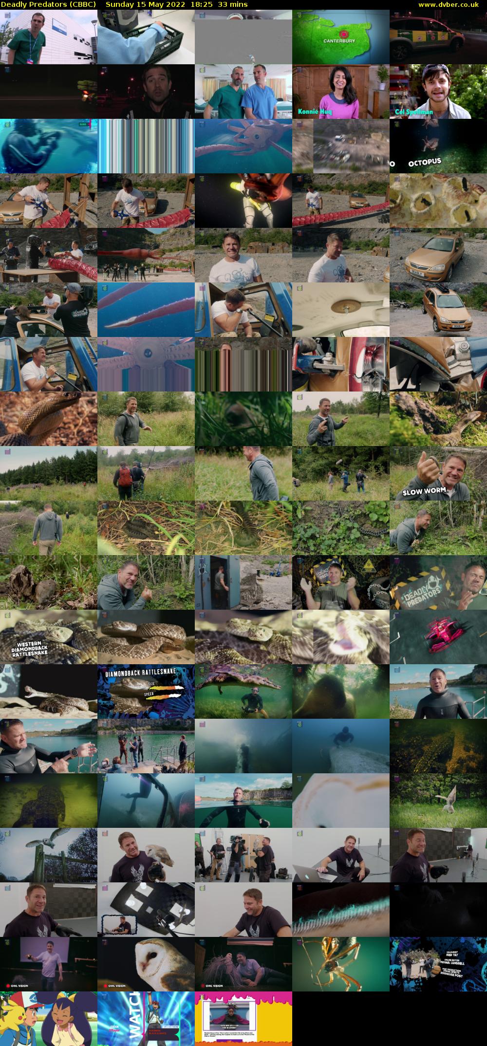 Deadly Predators (CBBC) Sunday 15 May 2022 18:25 - 18:58