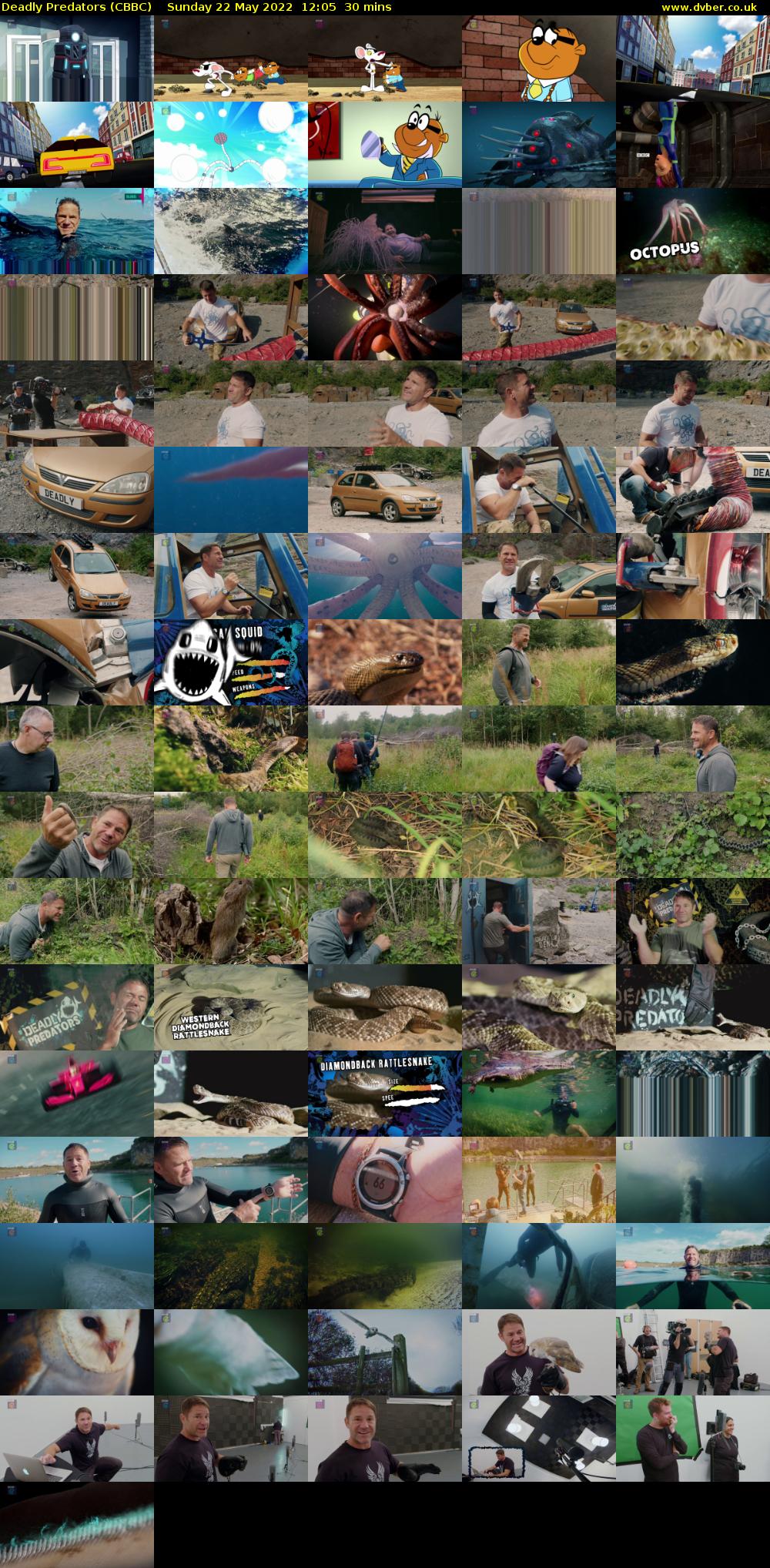 Deadly Predators (CBBC) Sunday 22 May 2022 12:05 - 12:35