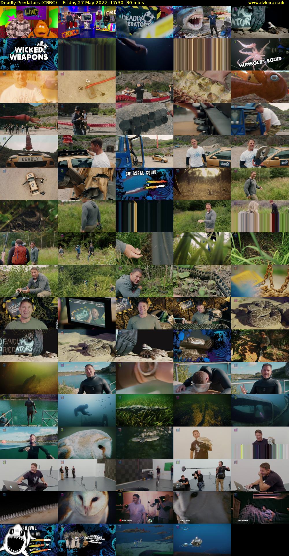 Deadly Predators (CBBC) Friday 27 May 2022 17:30 - 18:00