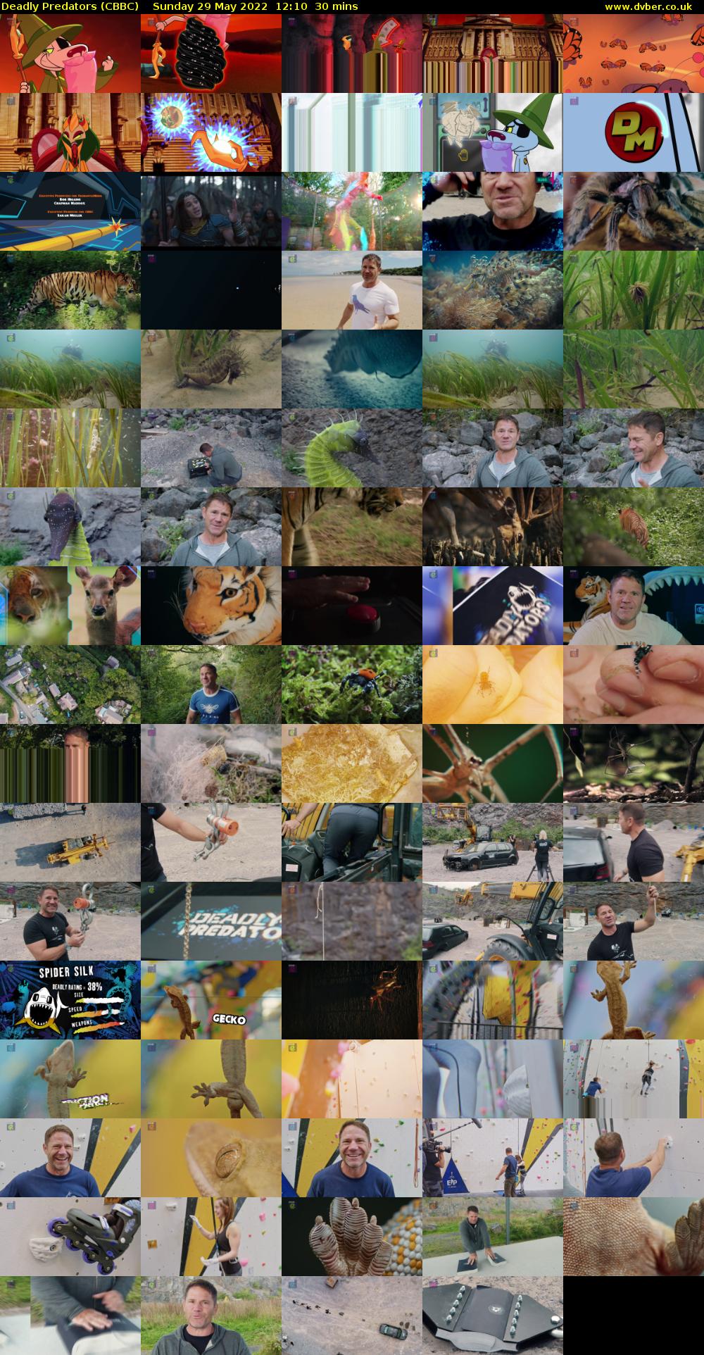 Deadly Predators (CBBC) Sunday 29 May 2022 12:10 - 12:40