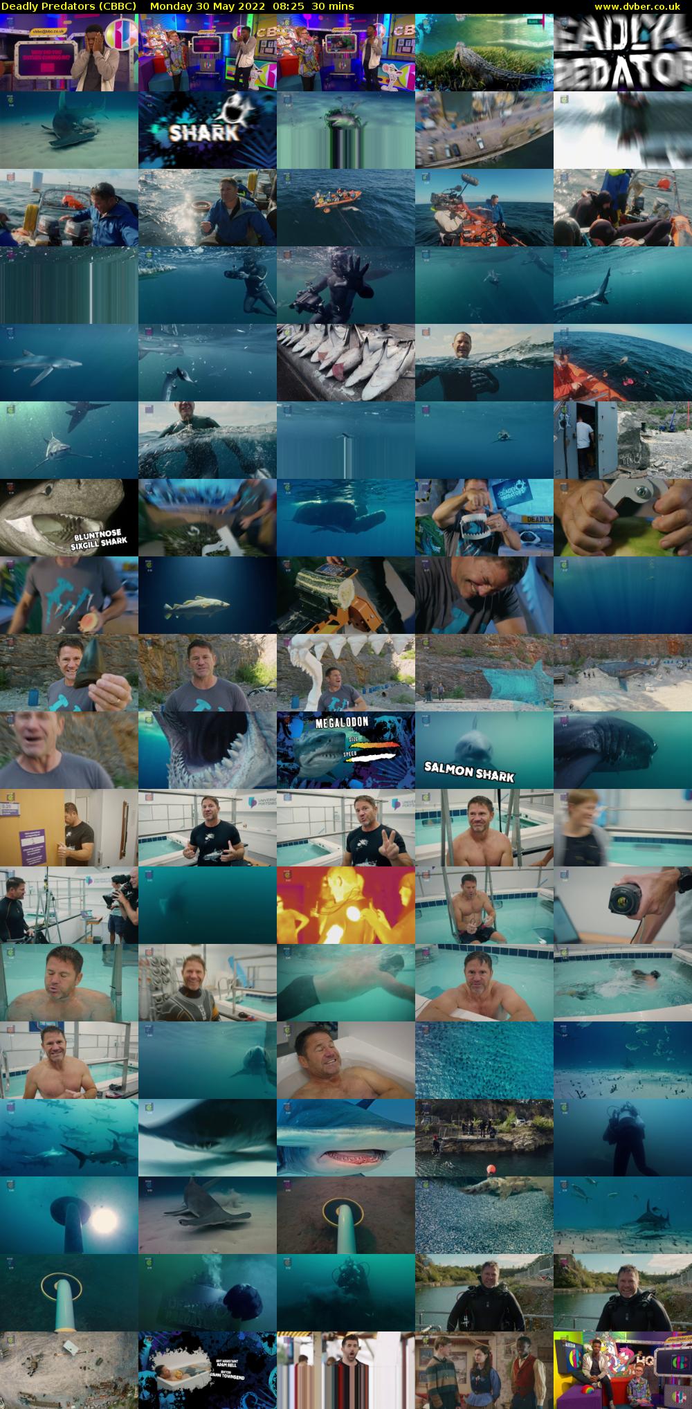 Deadly Predators (CBBC) Monday 30 May 2022 08:25 - 08:55