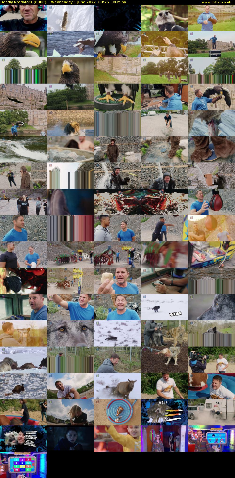 Deadly Predators (CBBC) Wednesday 1 June 2022 08:25 - 08:55