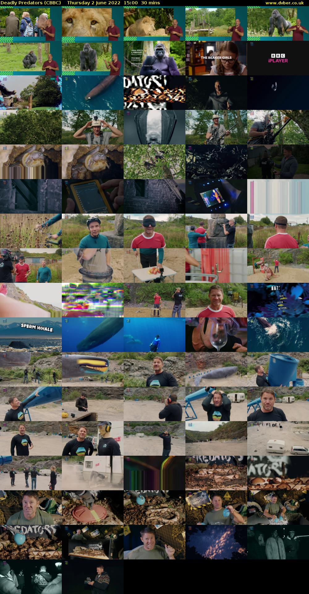 Deadly Predators (CBBC) Thursday 2 June 2022 15:00 - 15:30