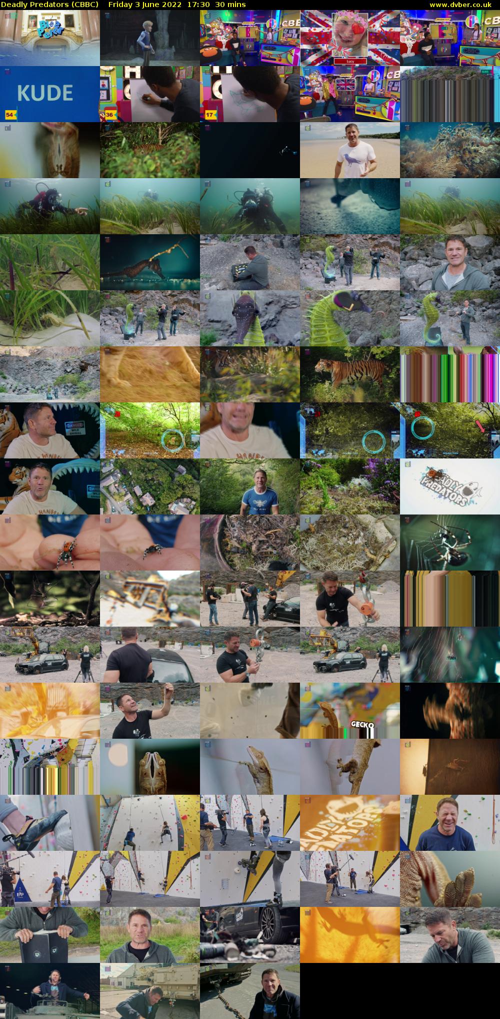 Deadly Predators (CBBC) Friday 3 June 2022 17:30 - 18:00
