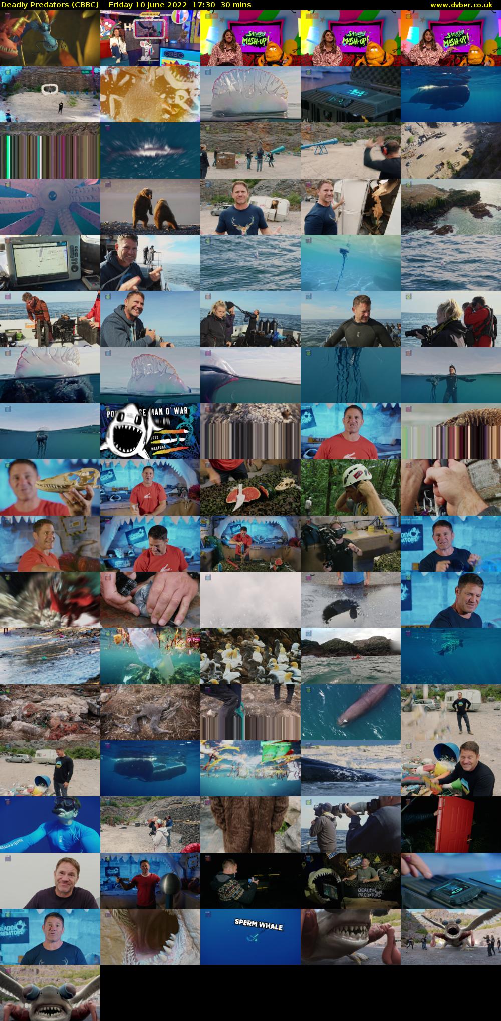 Deadly Predators (CBBC) Friday 10 June 2022 17:30 - 18:00