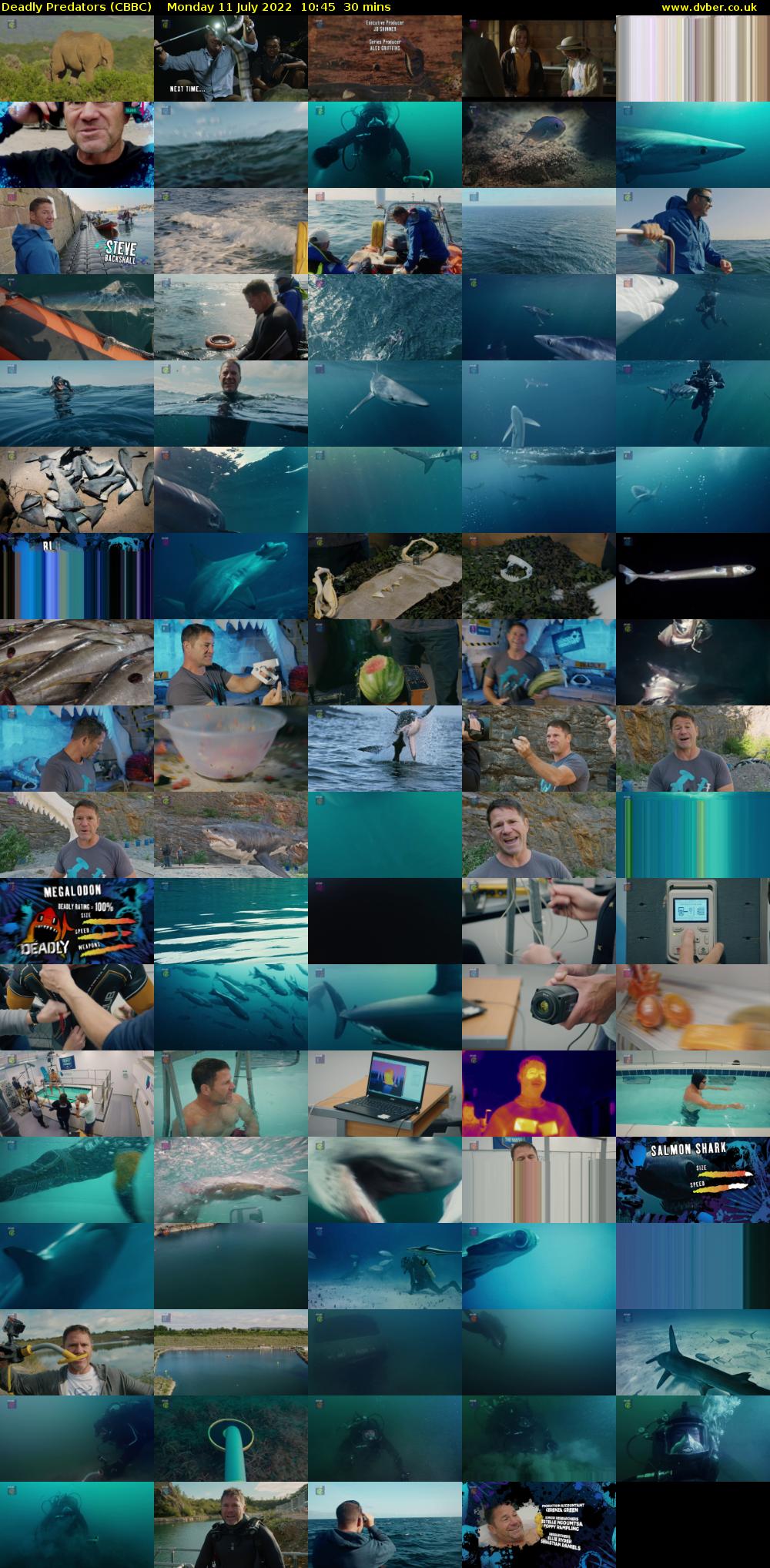 Deadly Predators (CBBC) Monday 11 July 2022 10:45 - 11:15