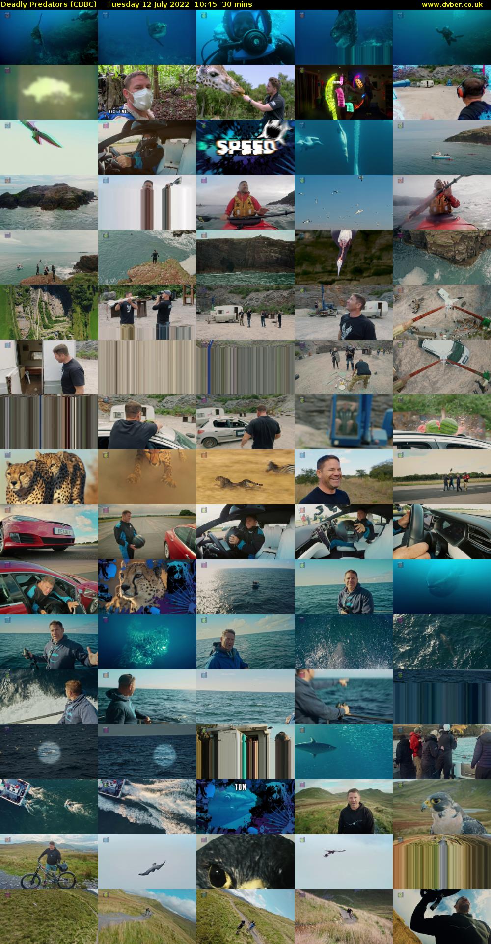 Deadly Predators (CBBC) Tuesday 12 July 2022 10:45 - 11:15