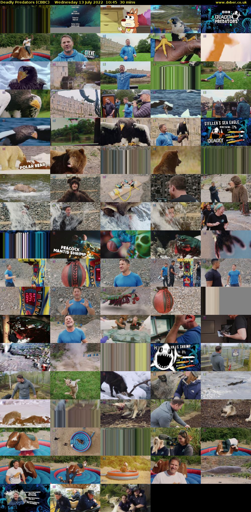 Deadly Predators (CBBC) Wednesday 13 July 2022 10:45 - 11:15