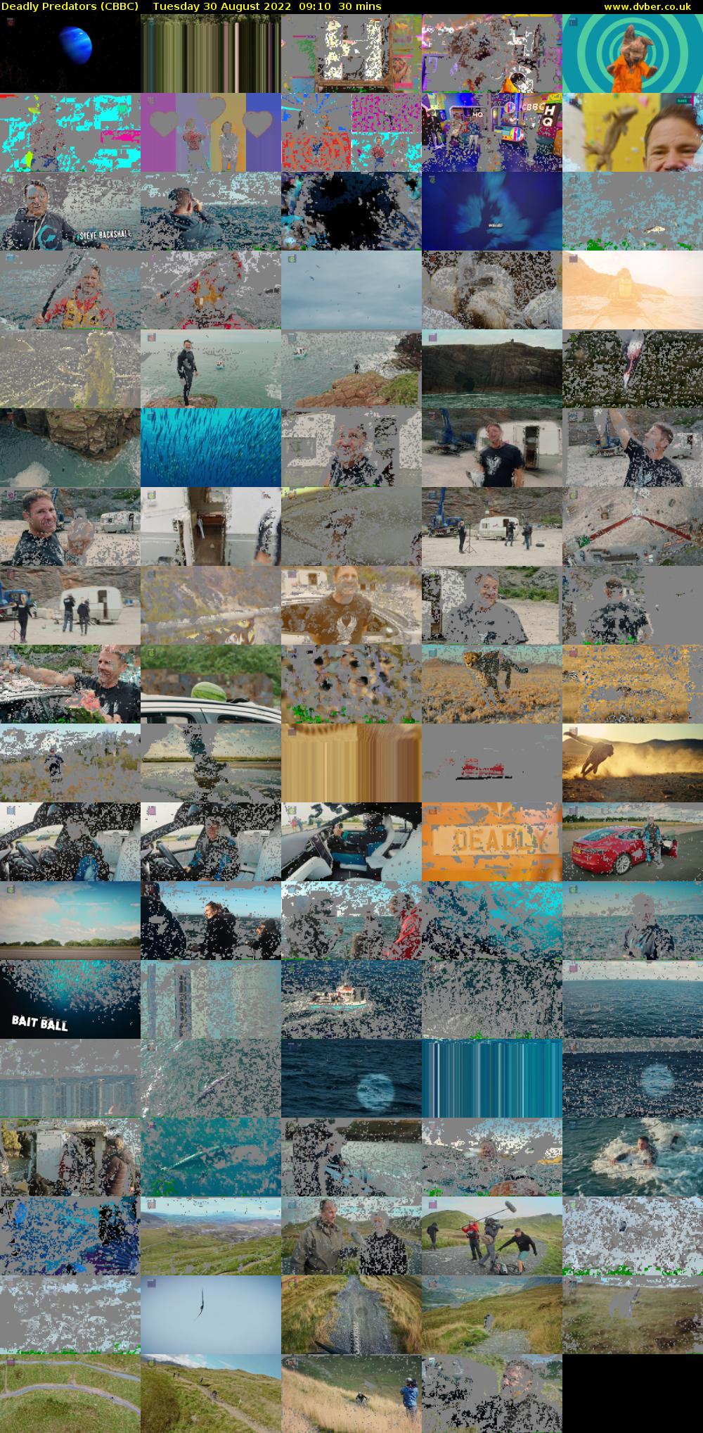 Deadly Predators (CBBC) Tuesday 30 August 2022 09:10 - 09:40