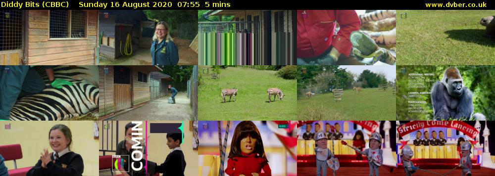 Diddy Bits (CBBC) Sunday 16 August 2020 07:55 - 08:00