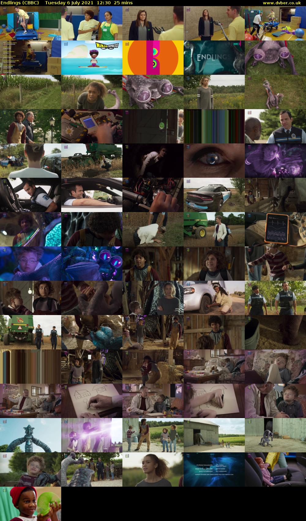 Endlings (CBBC) Tuesday 6 July 2021 12:30 - 12:55