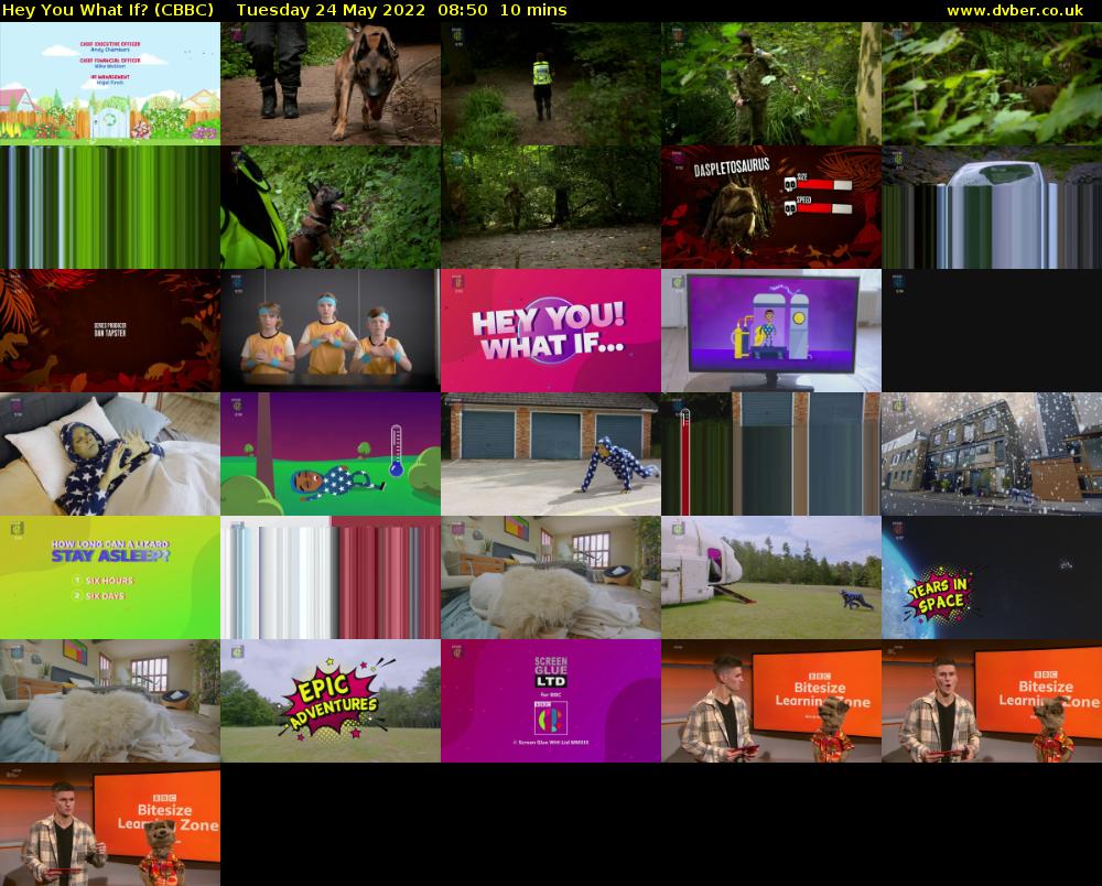 Hey You What If? (CBBC) Tuesday 24 May 2022 08:50 - 09:00