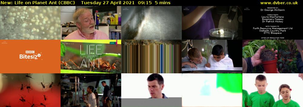 Life on Planet Ant (CBBC) Tuesday 27 April 2021 09:15 - 09:20