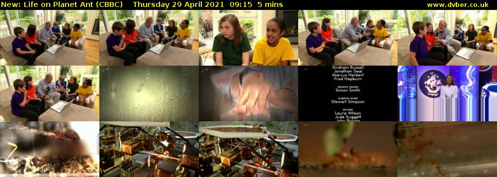 Life on Planet Ant (CBBC) Thursday 29 April 2021 09:15 - 09:20