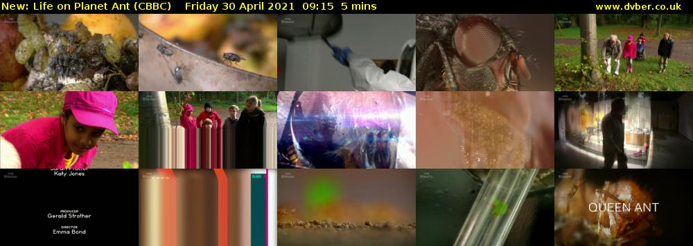 Life on Planet Ant (CBBC) Friday 30 April 2021 09:15 - 09:20