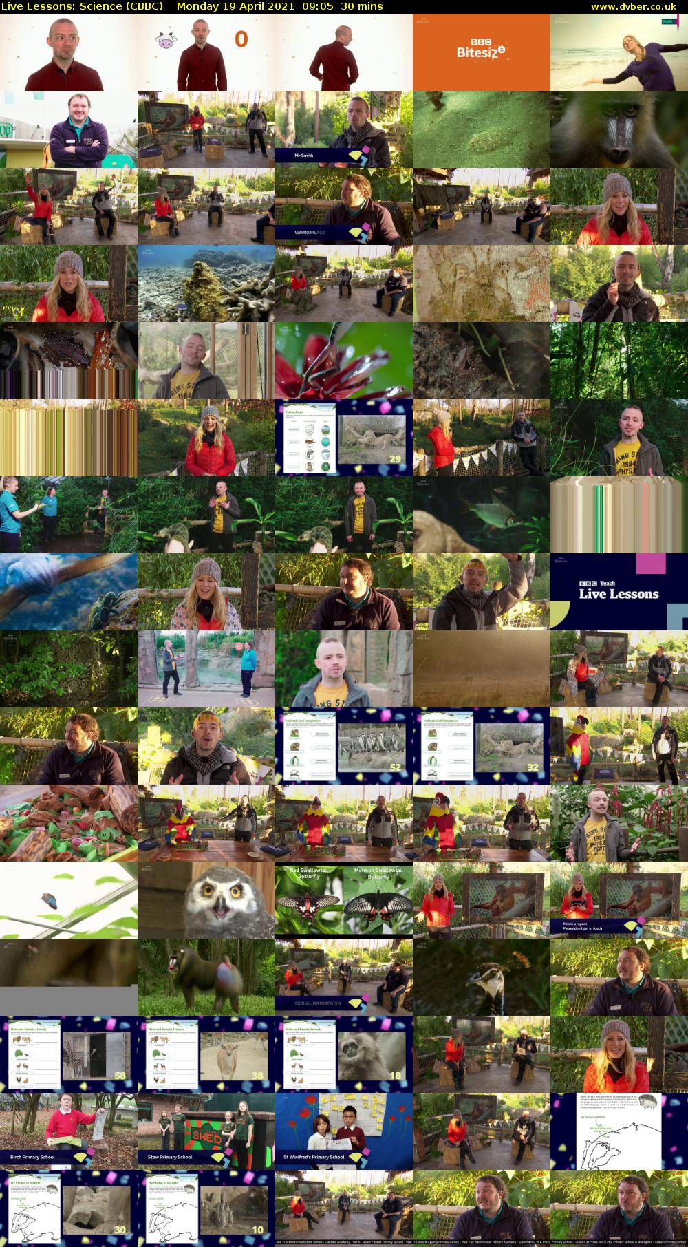 Live Lessons: Science (CBBC) Monday 19 April 2021 09:05 - 09:35