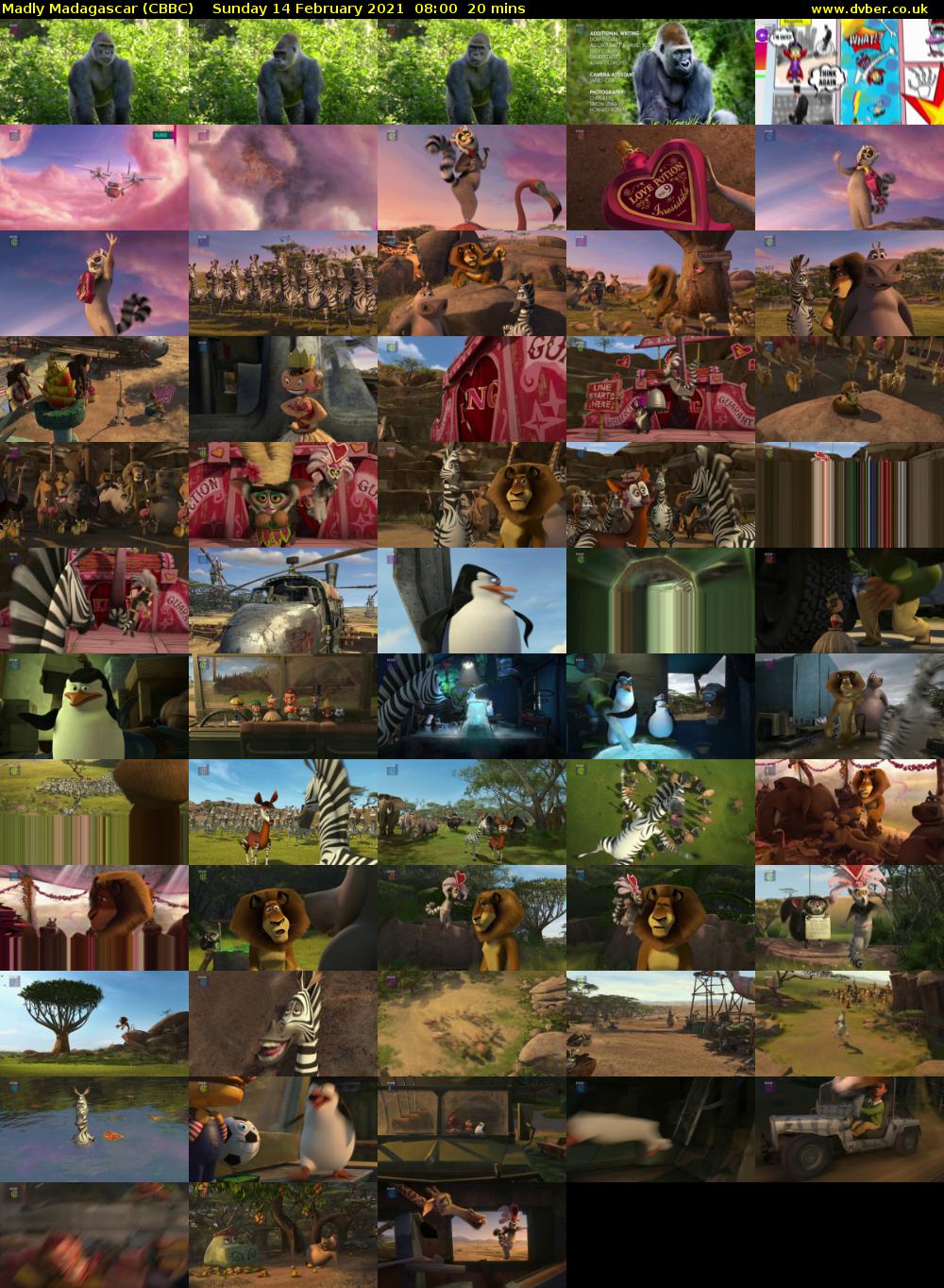 Madly Madagascar (CBBC) Sunday 14 February 2021 08:00 - 08:20