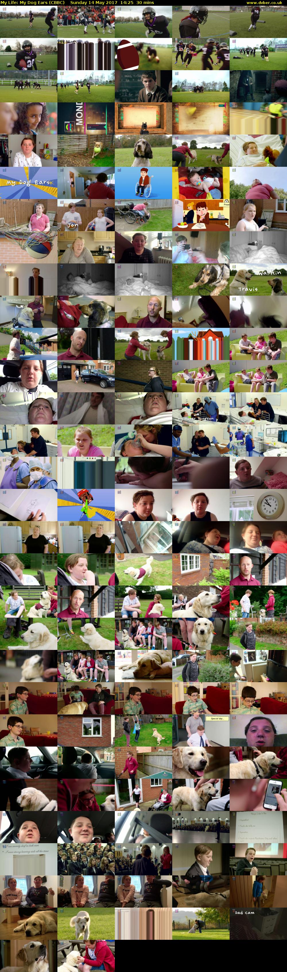 My Life: My Dog Ears (CBBC) Sunday 14 May 2017 14:25 - 14:55