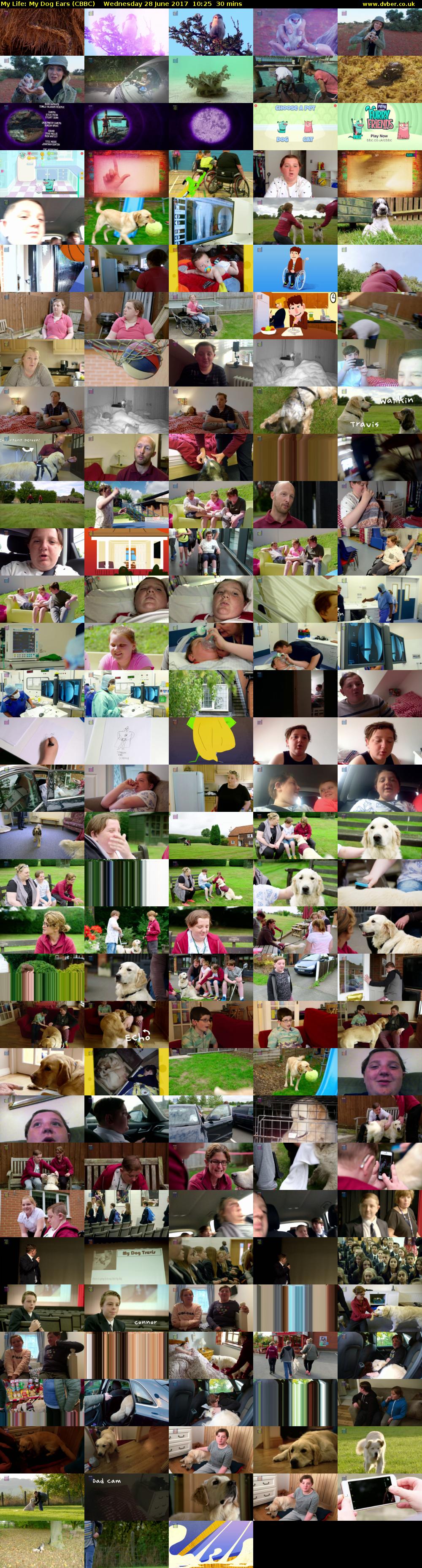 My Life: My Dog Ears (CBBC) Wednesday 28 June 2017 10:25 - 10:55