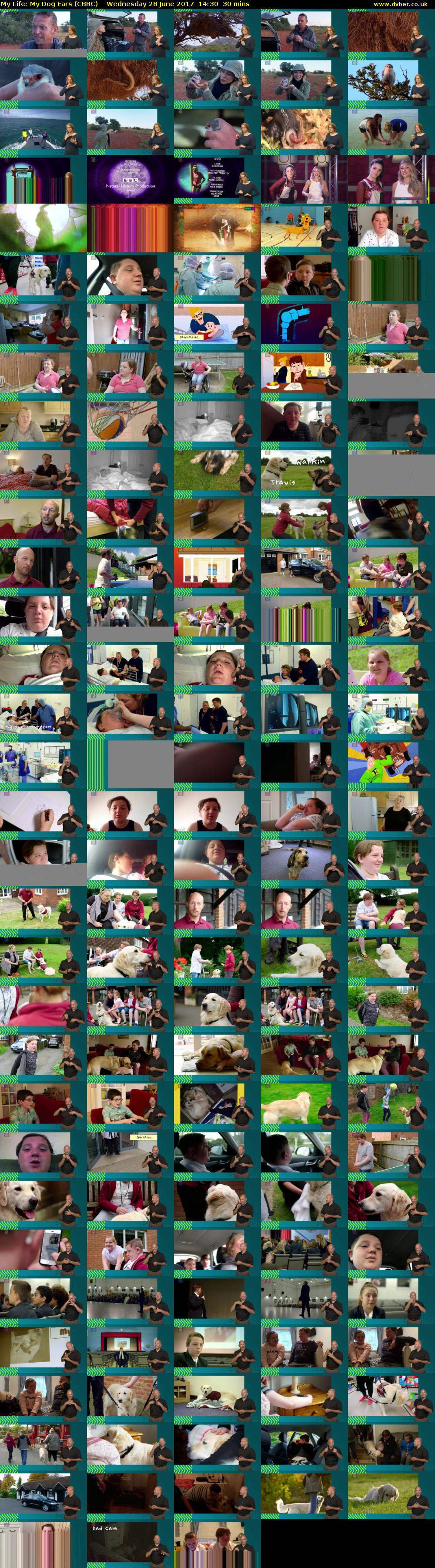 My Life: My Dog Ears (CBBC) Wednesday 28 June 2017 14:30 - 15:00